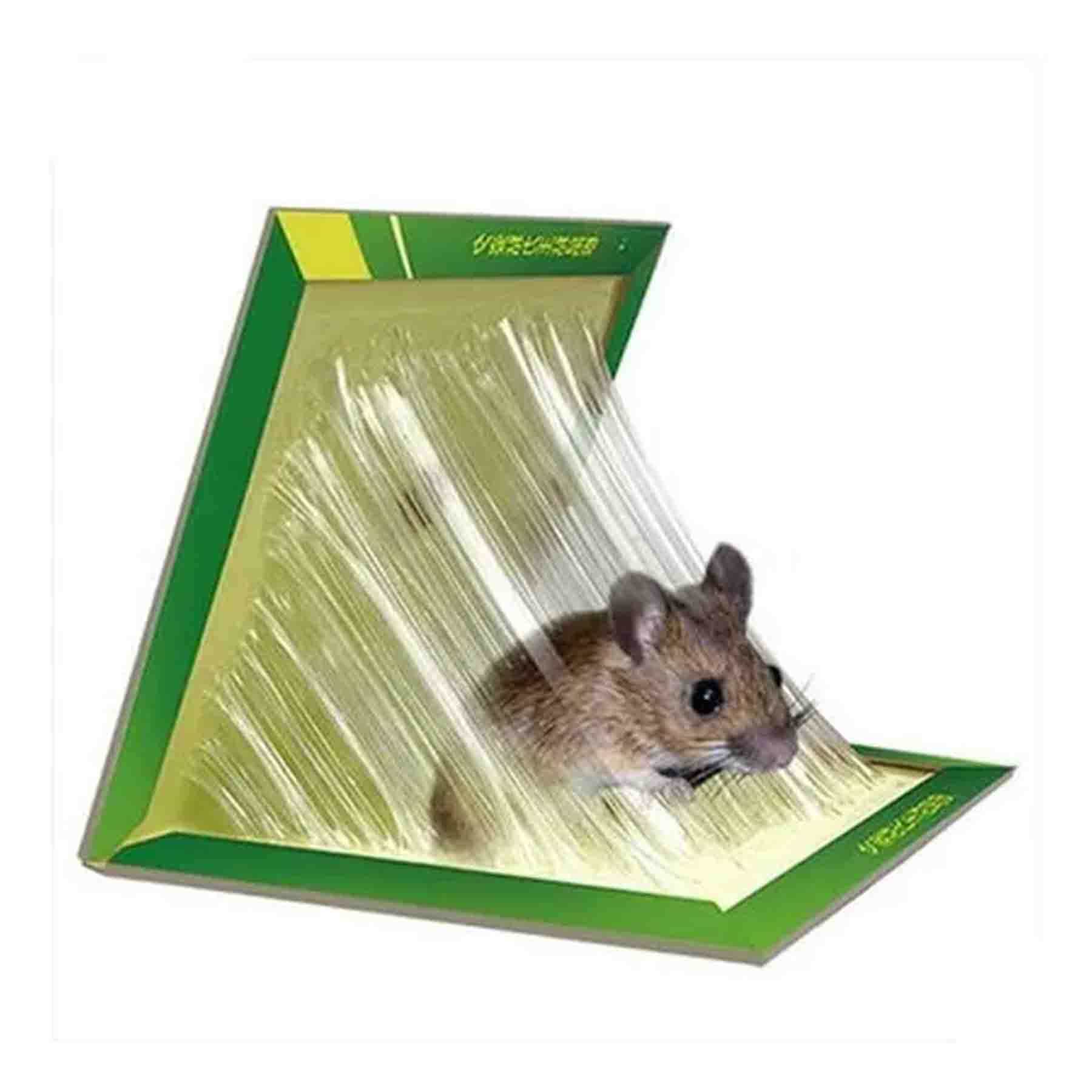 Vista 3 de Laminas Trampa Atrapa Rata Ratón Pegamen